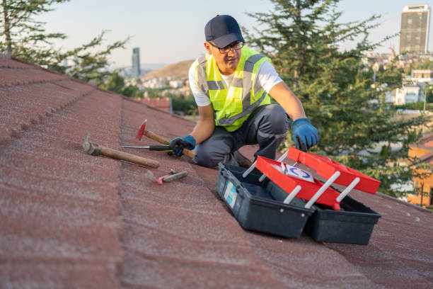 Best Insulated Siding Installation  in Pine Manor, FL